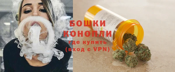 ГАЛЛЮЦИНОГЕННЫЕ ГРИБЫ Абаза