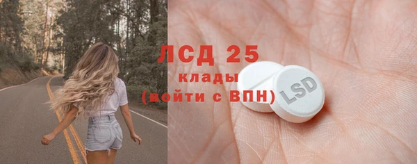 ГАЛЛЮЦИНОГЕННЫЕ ГРИБЫ Абаза